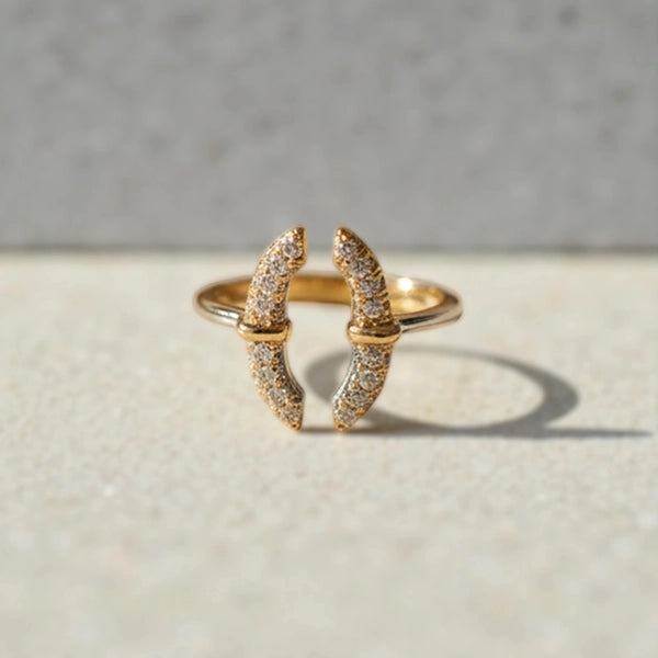 Représentation bague Secure fond studio