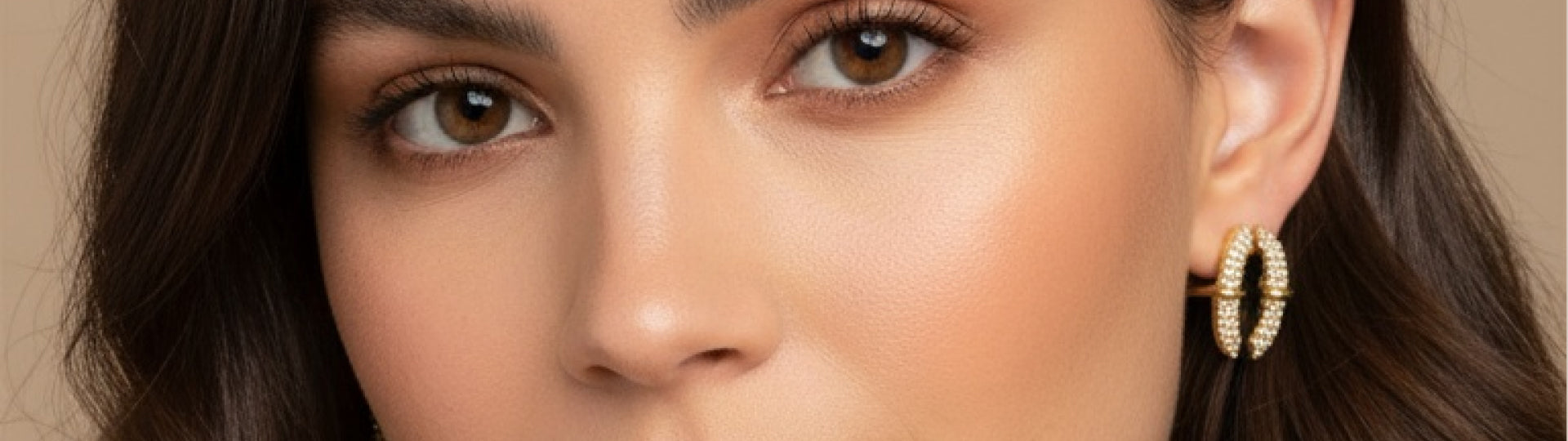 Représentation de la bannière de collection puces d'oreilles