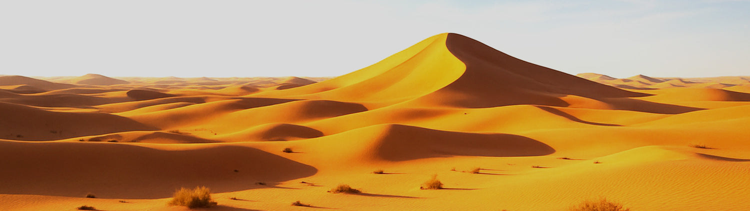 bannière de collection image désert