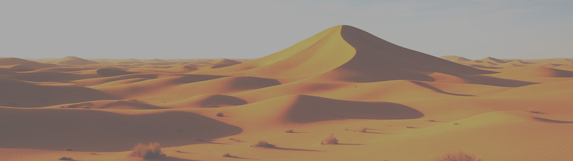 Bannière image du désert